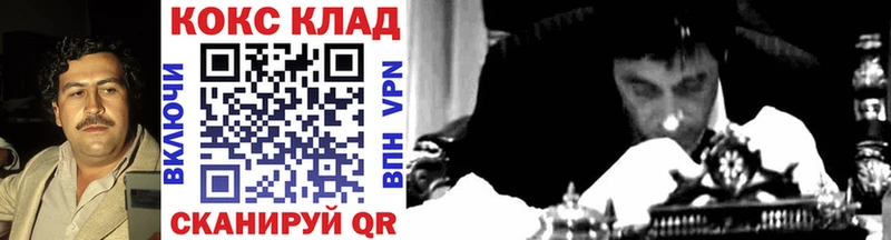 Купить закладки  Александровск-Сахалинский  Cocaine Fish Scale 