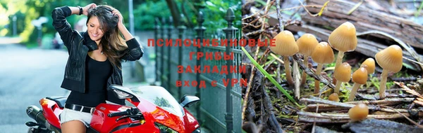 экстази Михайлов