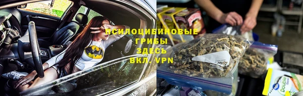 экстази Михайлов